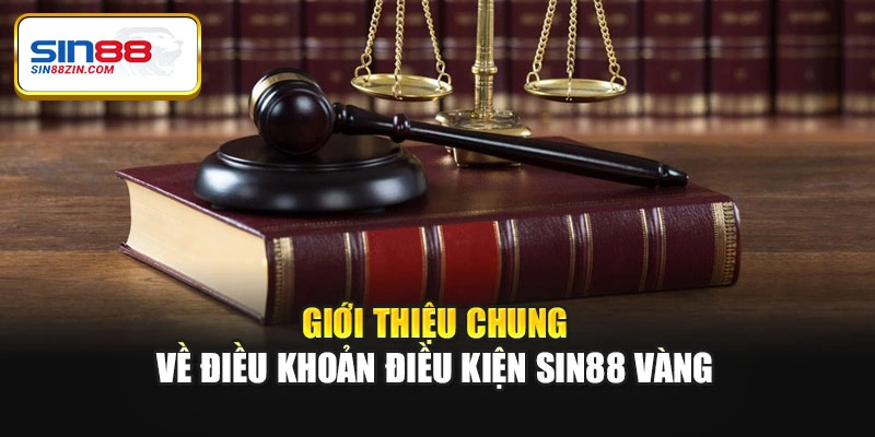 Giới thiệu chung về điều khoản điều kiện Sin88 vàng